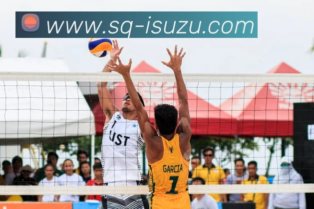 爱体育登陆地址APP 封面图